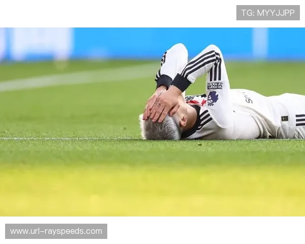 国际球员困境：若停摆成真，47名海外球员将面临两难选择